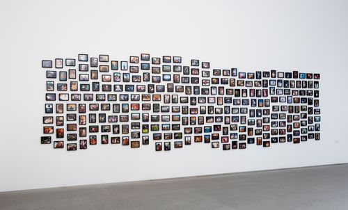 small_2007_1617_Vox_Populi_Nor